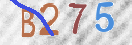 CAPTCHA vaizdas