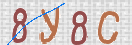 CAPTCHA vaizdas