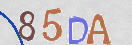 CAPTCHA vaizdas