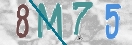 CAPTCHA vaizdas