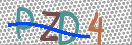 CAPTCHA vaizdas