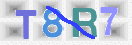 CAPTCHA vaizdas