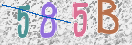CAPTCHA vaizdas