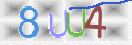 CAPTCHA vaizdas