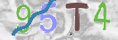 CAPTCHA vaizdas