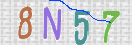CAPTCHA vaizdas