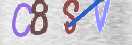 CAPTCHA vaizdas