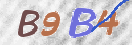CAPTCHA vaizdas