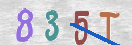 CAPTCHA vaizdas