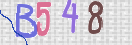 CAPTCHA vaizdas