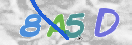 CAPTCHA vaizdas