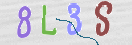 CAPTCHA vaizdas