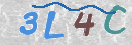 CAPTCHA vaizdas