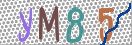 CAPTCHA vaizdas