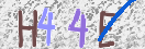 CAPTCHA vaizdas