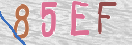 CAPTCHA vaizdas