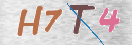 CAPTCHA vaizdas