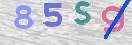 CAPTCHA vaizdas