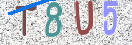 CAPTCHA vaizdas