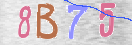 CAPTCHA vaizdas