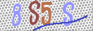 CAPTCHA vaizdas