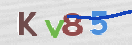 CAPTCHA vaizdas