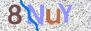 CAPTCHA vaizdas
