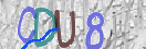 CAPTCHA vaizdas