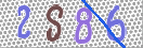 CAPTCHA vaizdas