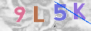 CAPTCHA vaizdas