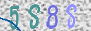 CAPTCHA vaizdas