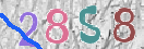 CAPTCHA vaizdas