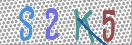CAPTCHA vaizdas
