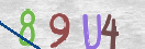 CAPTCHA vaizdas