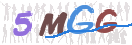 CAPTCHA vaizdas