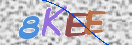 CAPTCHA vaizdas