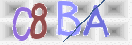 CAPTCHA vaizdas
