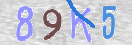 CAPTCHA vaizdas