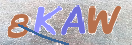 CAPTCHA vaizdas