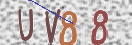 CAPTCHA vaizdas