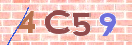 CAPTCHA vaizdas