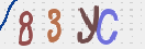CAPTCHA vaizdas