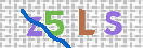 CAPTCHA vaizdas