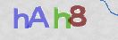 CAPTCHA vaizdas