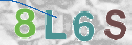 CAPTCHA vaizdas