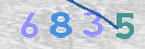 CAPTCHA vaizdas