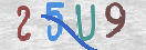 CAPTCHA vaizdas