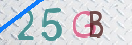 CAPTCHA vaizdas