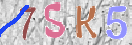 CAPTCHA vaizdas
