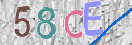 CAPTCHA vaizdas